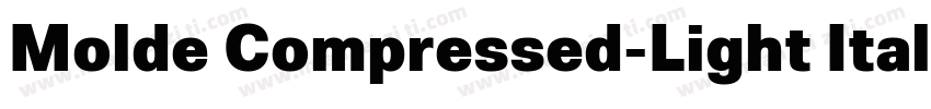 Molde Compressed-Light Italic字体转换